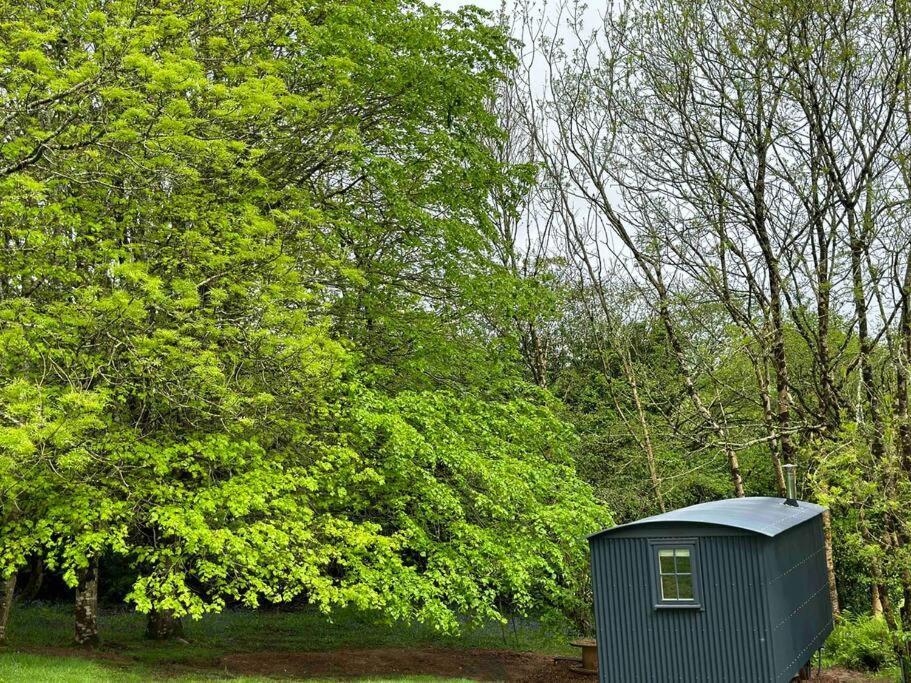 Cornwall Woodland Shepherd'S Hut Deirdres Hut Бодмин Экстерьер фото